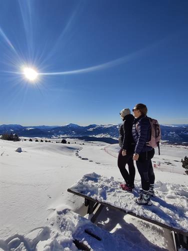 Image for: PIETON HIVER
